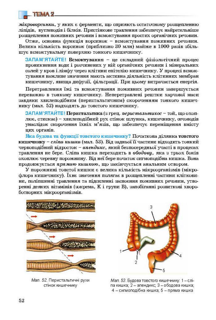 Підручник Біологія 8 клас Матяш 2016 (Укр.)