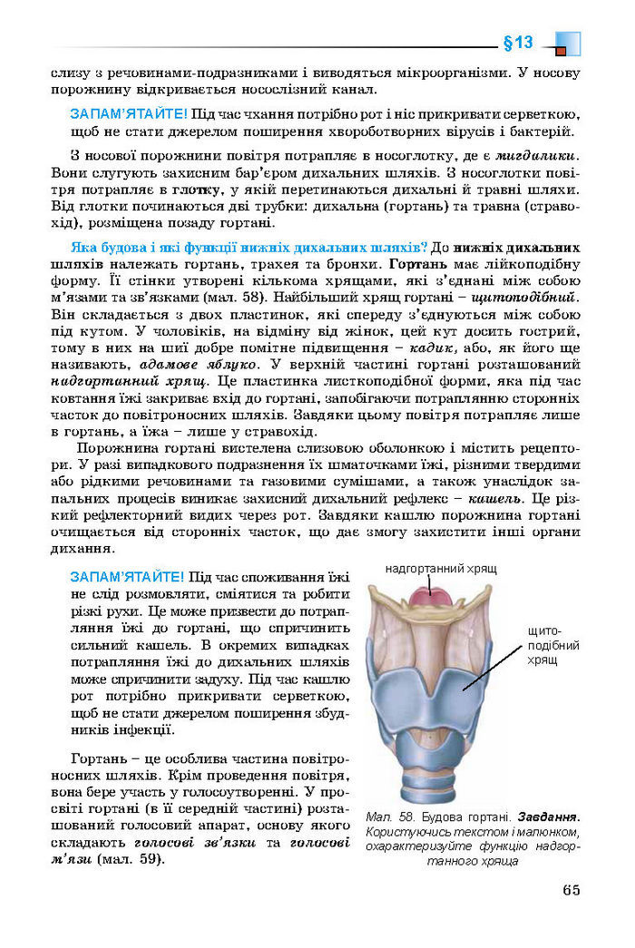 Підручник Біологія 8 клас Матяш 2016 (Укр.)