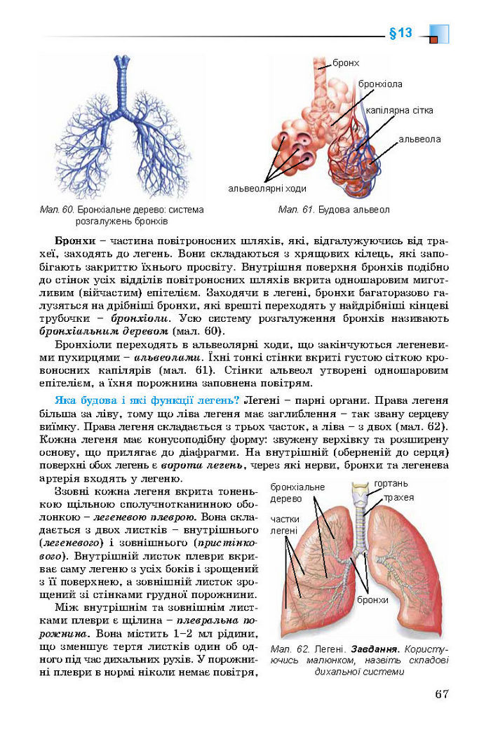 Підручник Біологія 8 клас Матяш 2016 (Укр.)