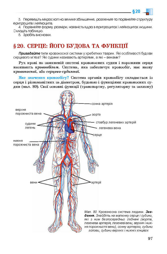 Підручник Біологія 8 клас Матяш 2016 (Укр.)