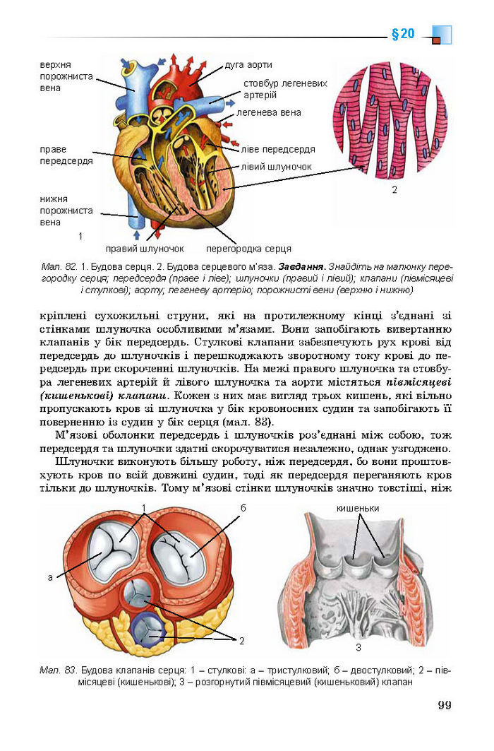 Підручник Біологія 8 клас Матяш 2016 (Укр.)