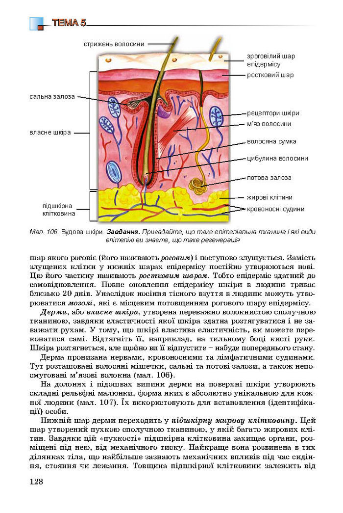 Підручник Біологія 8 клас Матяш 2016 (Укр.)