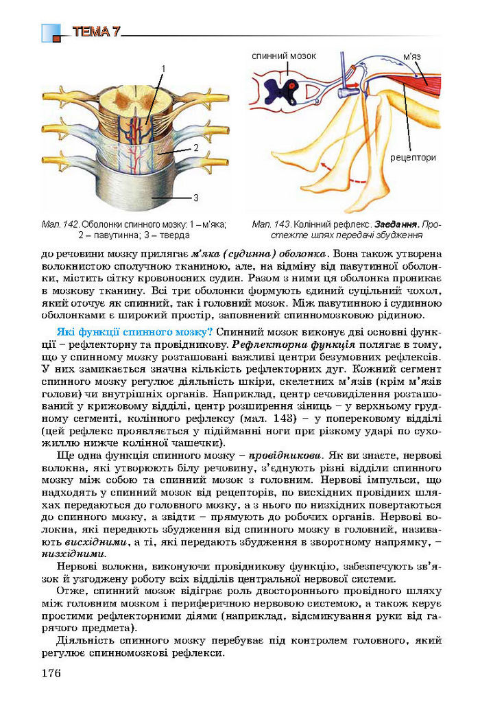 Підручник Біологія 8 клас Матяш 2016 (Укр.)