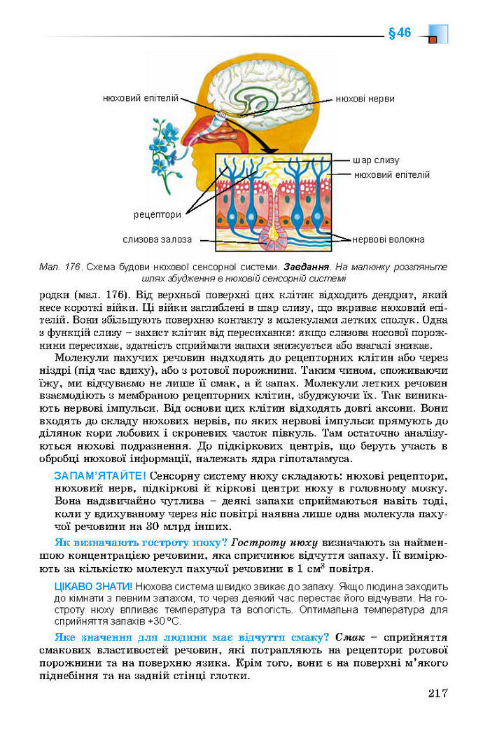 Підручник Біологія 8 клас Матяш 2016 (Укр.)