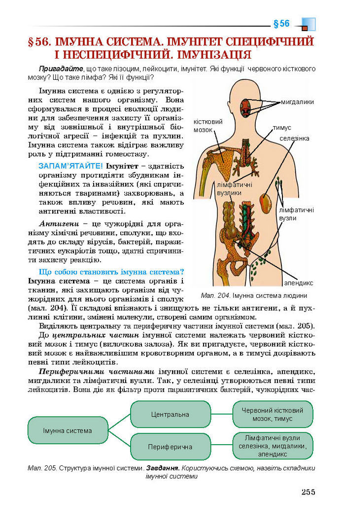 Підручник Біологія 8 клас Матяш 2016 (Укр.)