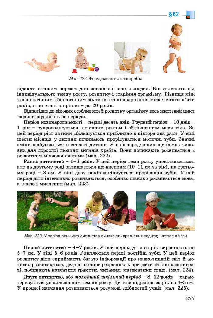 Підручник Біологія 8 клас Матяш 2016 (Укр.)