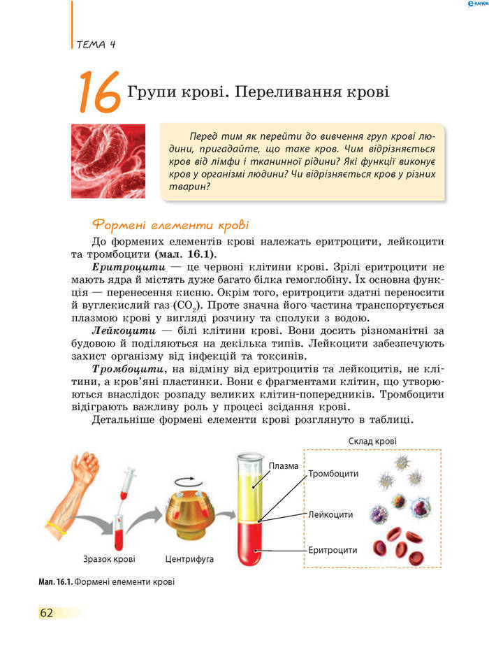 Підручник Біологія 8 клас Задорожний 2016 (Укр.)