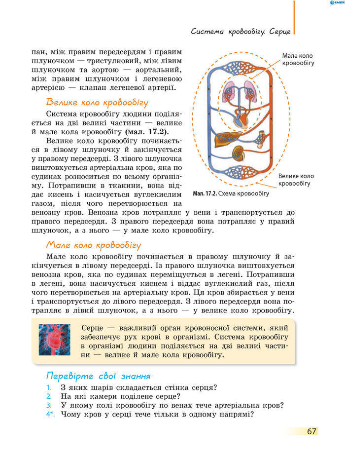 Підручник Біологія 8 клас Задорожний 2016 (Укр.)