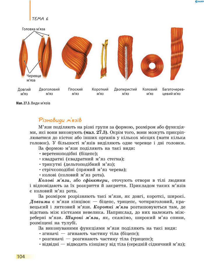 Підручник Біологія 8 клас Задорожний 2016 (Укр.)