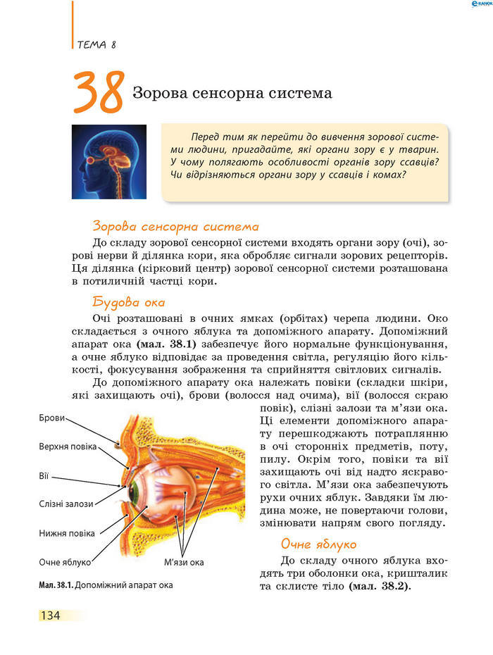 Підручник Біологія 8 клас Задорожний 2016 (Укр.)