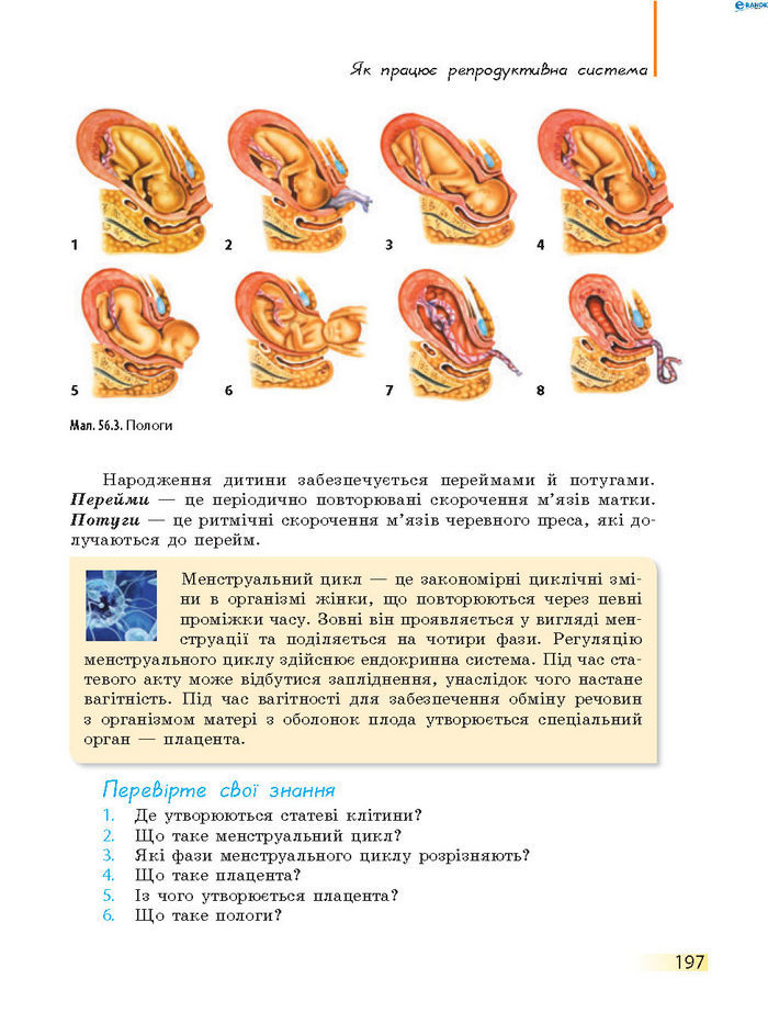 Підручник Біологія 8 клас Задорожний 2016 (Укр.)