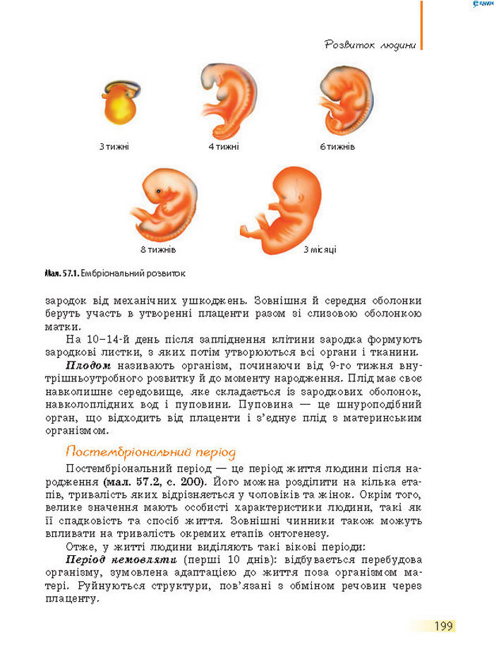 Підручник Біологія 8 клас Задорожний 2016 (Укр.)