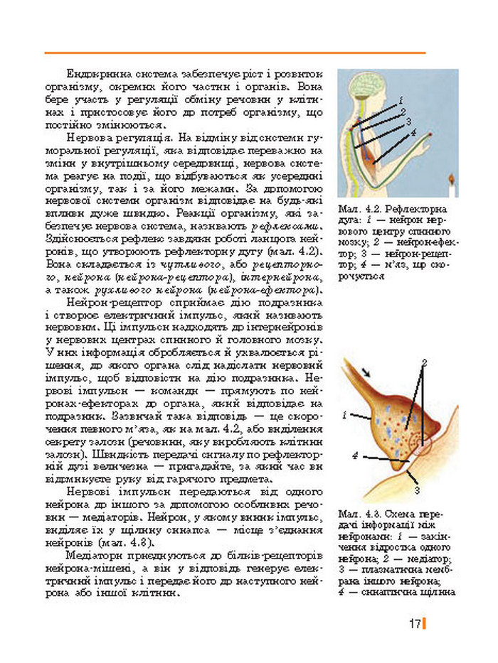 Підручник Біологія 8 клас Базанова 2016