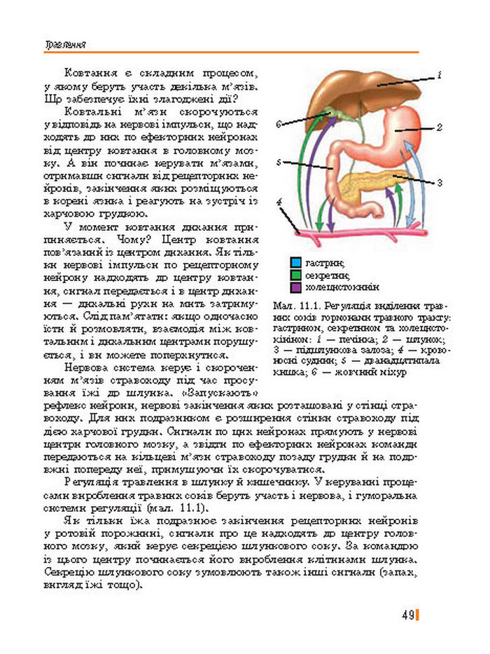 Підручник Біологія 8 клас Базанова 2016