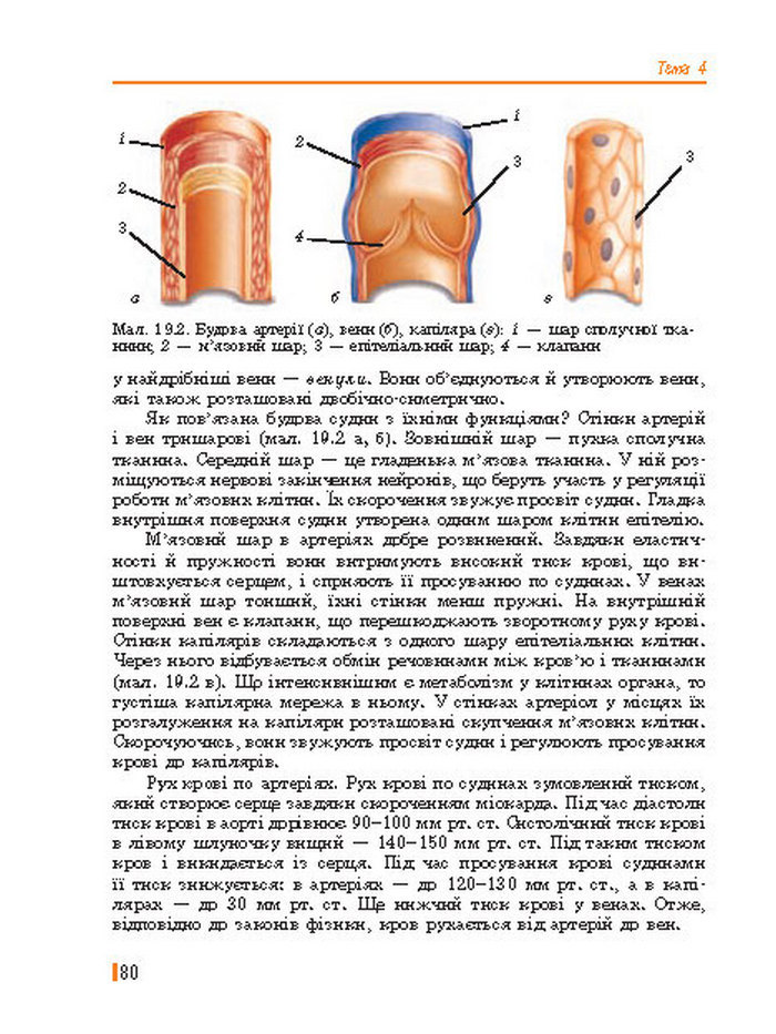 Підручник Біологія 8 клас Базанова 2016