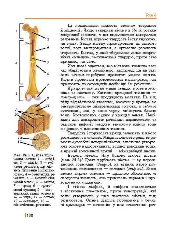 Підручник Біологія 8 клас Базанова 2016