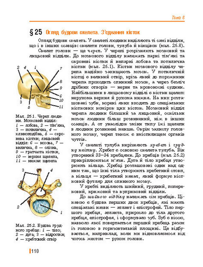 Підручник Біологія 8 клас Базанова 2016