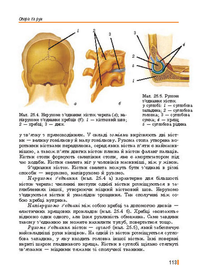 Підручник Біологія 8 клас Базанова 2016