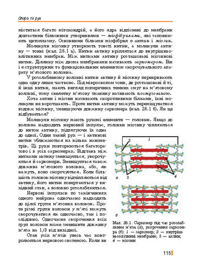 Підручник Біологія 8 клас Базанова 2016