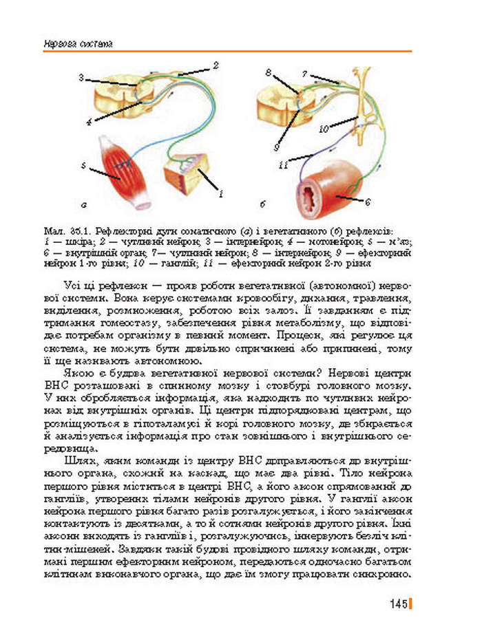 Підручник Біологія 8 клас Базанова 2016