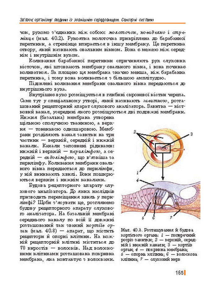 Підручник Біологія 8 клас Базанова 2016
