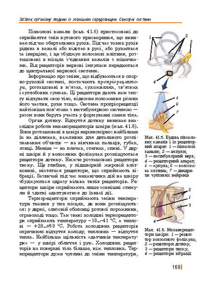 Підручник Біологія 8 клас Базанова 2016