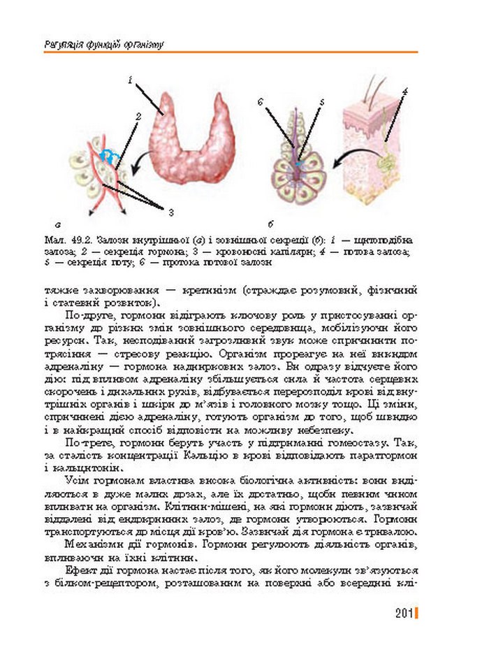 Підручник Біологія 8 клас Базанова 2016