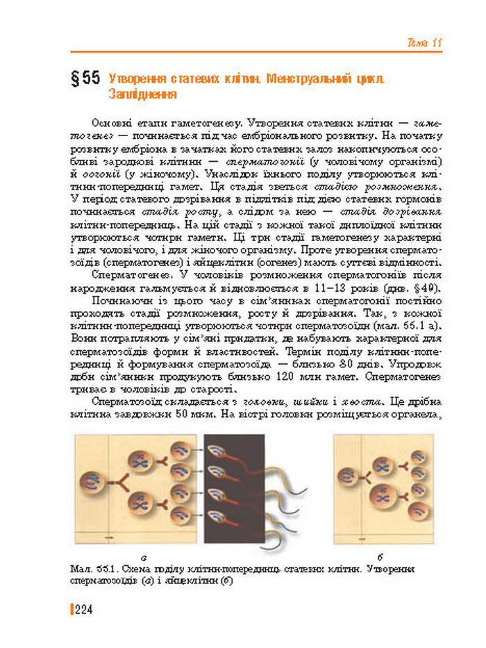 Підручник Біологія 8 клас Базанова 2016