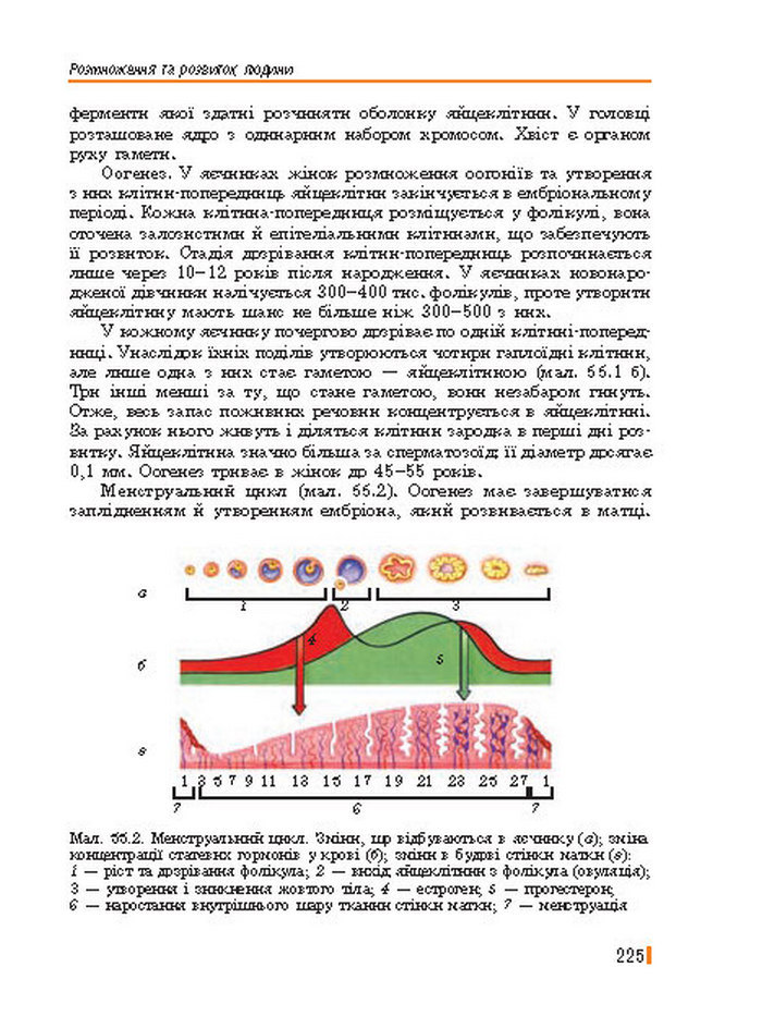 Підручник Біологія 8 клас Базанова 2016