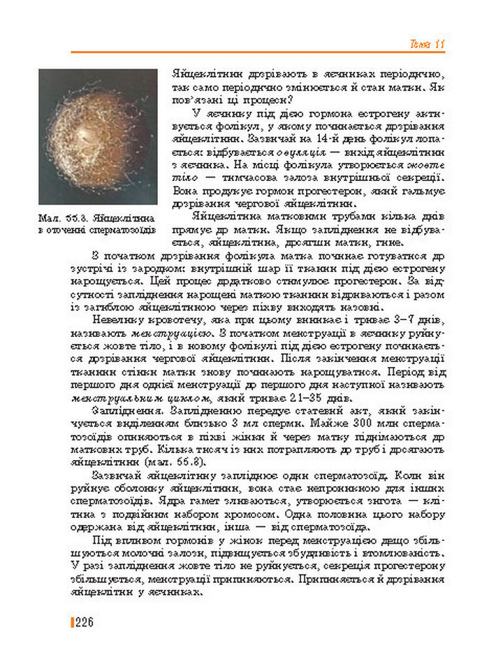 Підручник Біологія 8 клас Базанова 2016