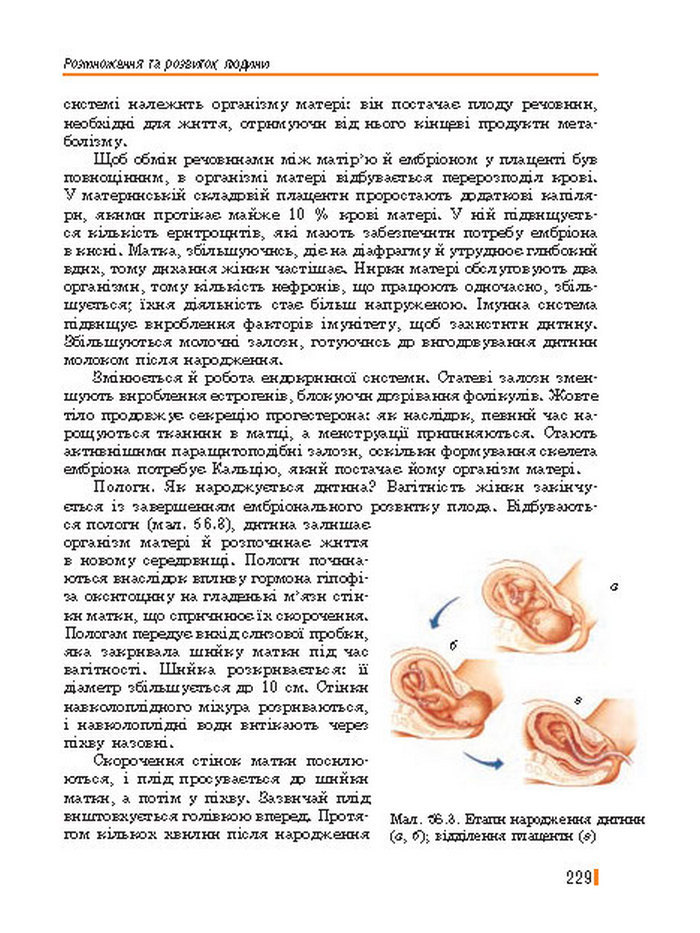 Підручник Біологія 8 клас Базанова 2016