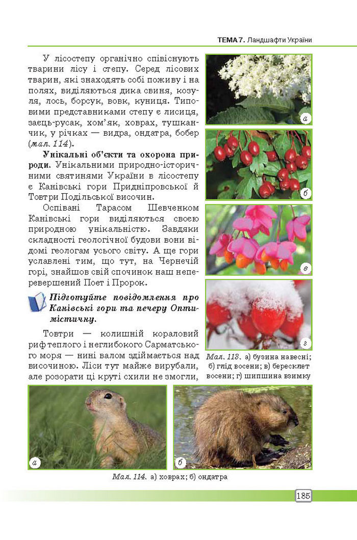 Підручник Географія 8 клас Масляк 2016