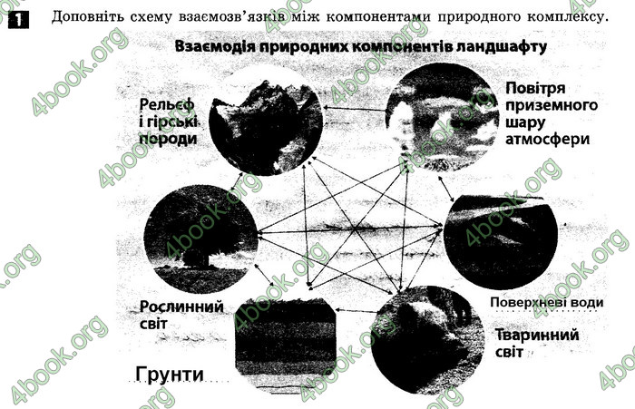 Відповіді Зошит Географія 8 клас Стадник 2021