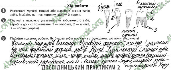 ГДЗ Зошит Біологія 8 клас Задорожний 2021