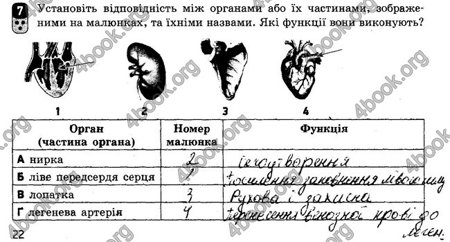 ГДЗ Зошит Біологія 8 клас Кот 2016