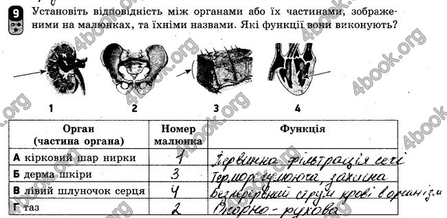 ГДЗ Зошит Біологія 8 клас Кот 2016