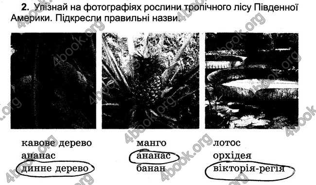 ГДЗ Зошит Природознавство 4 клас Гільберг - відповіді