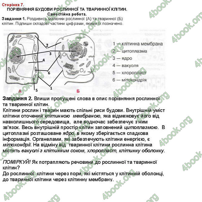 ГДЗ Зошит Біологія 7 клас Вихренко, Андерсон