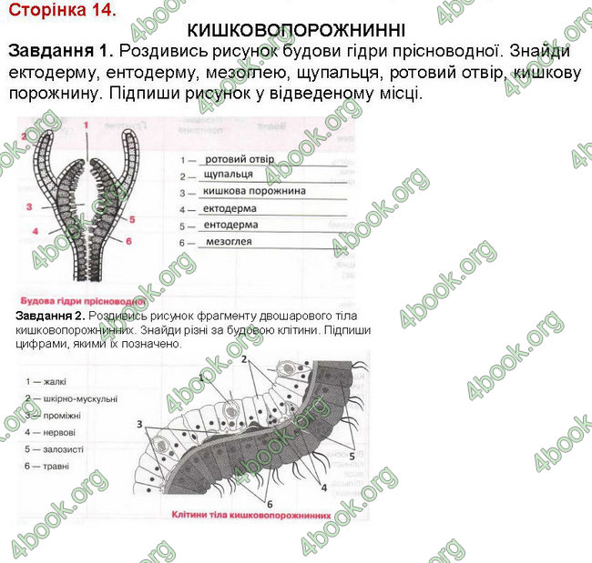 ГДЗ Зошит Біологія 7 клас Вихренко, Андерсон