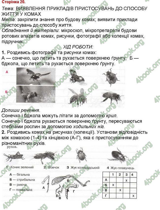 ГДЗ Зошит Біологія 7 клас Вихренко, Андерсон