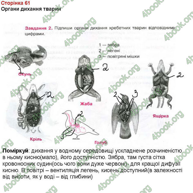 ГДЗ (Ответы, Відповіді) Зошит Біологія 7 клас Вихренко, Андерсон