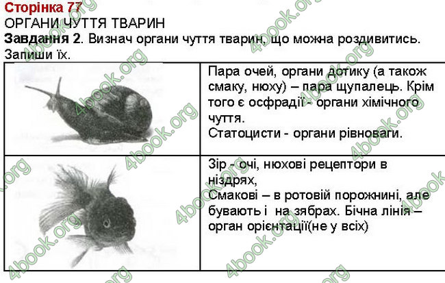 ГДЗ (Ответы, Відповіді) Зошит Біологія 7 клас Вихренко, Андерсон