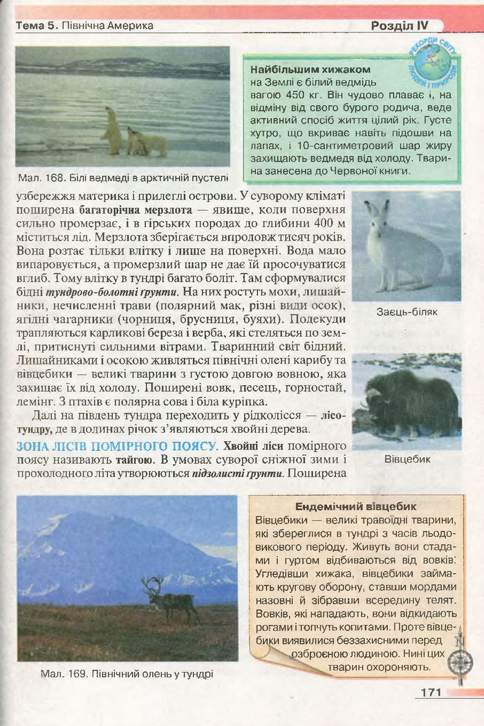 Підручник Географія 7 клас Бойко 2015