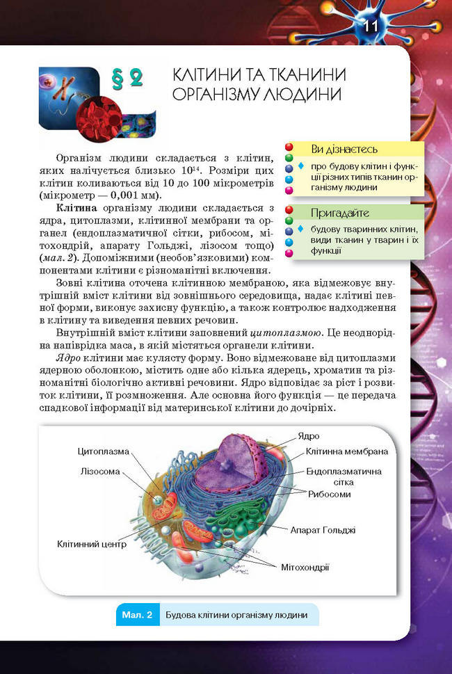 Підручник Біологія 8 клас Рибалко 2016
