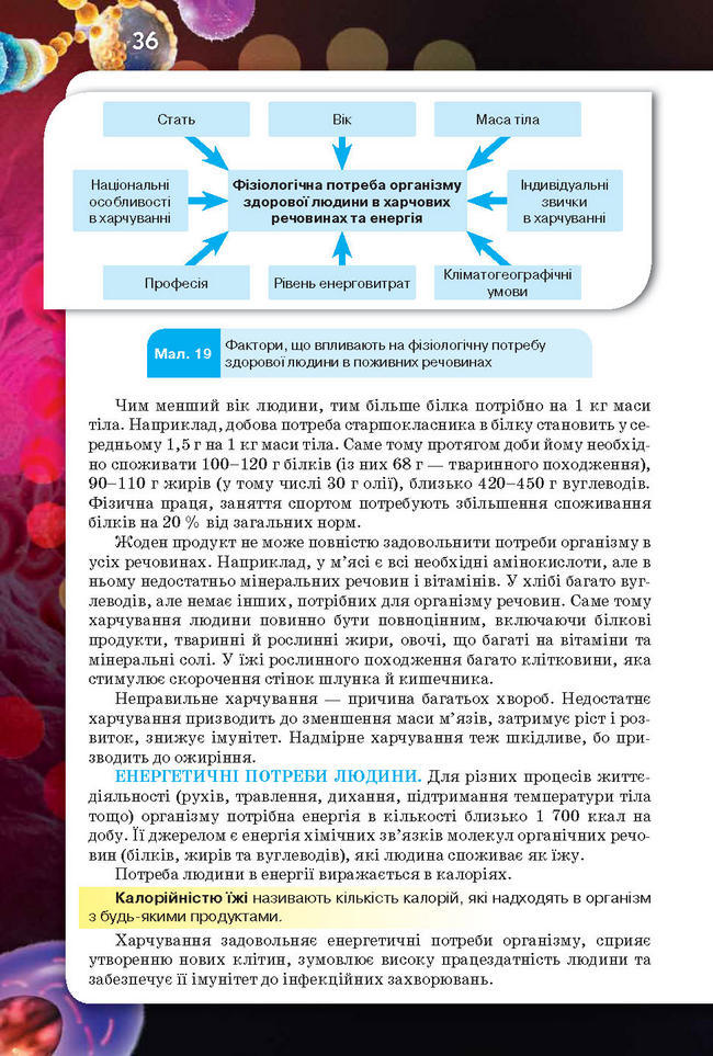 Підручник Біологія 8 клас Рибалко 2016