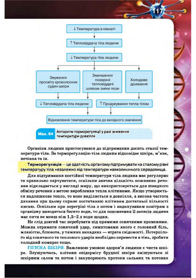 Підручник Біологія 8 клас Рибалко 2016