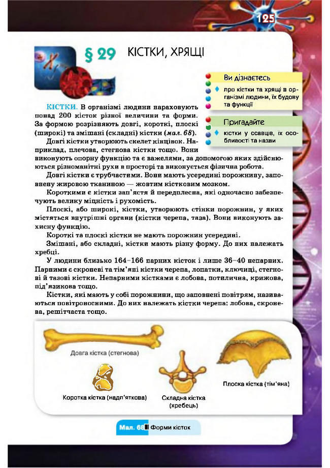 Підручник Біологія 8 клас Рибалко 2016