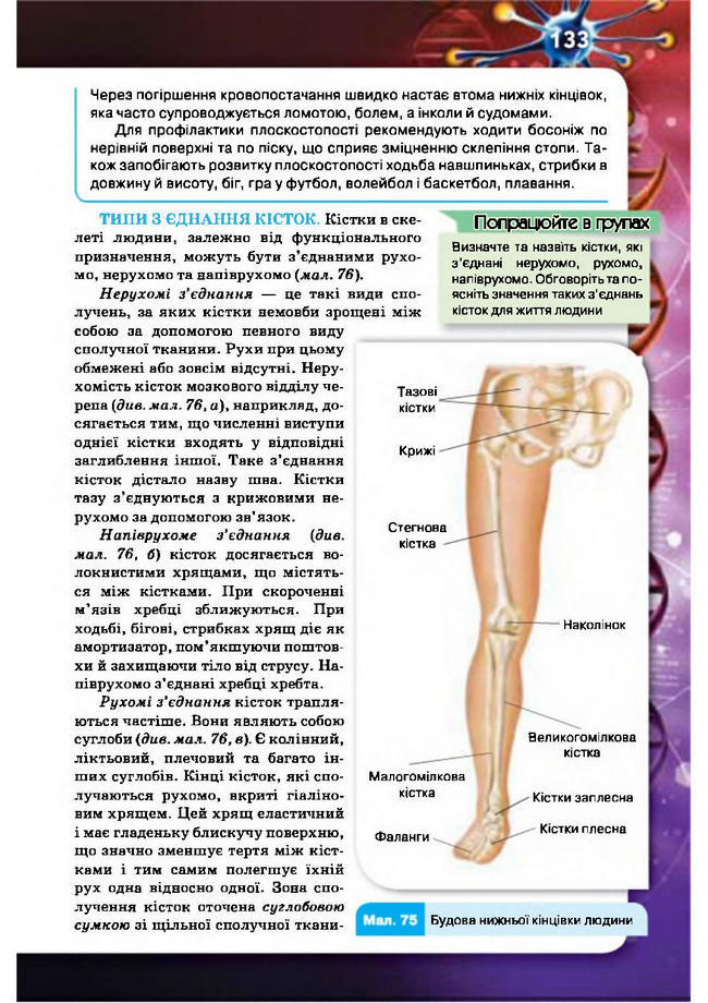 Підручник Біологія 8 клас Рибалко 2016