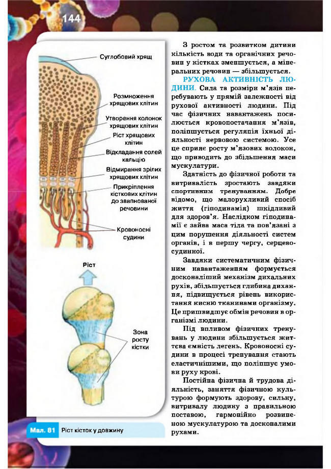 Підручник Біологія 8 клас Рибалко 2016