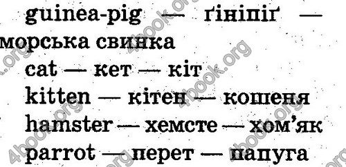 Відповіді Англійська мова 2 клас Несвіт. ГДЗ